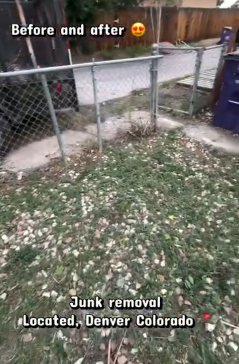 Backyard after junk removal