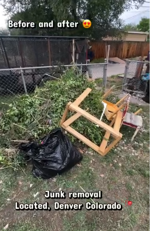 Backyard before cleanout