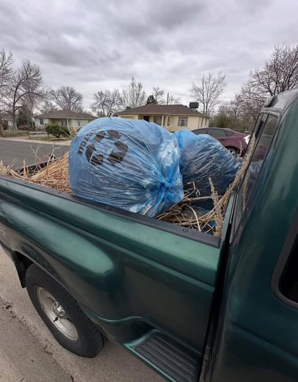 Truck bed loaded with yard waste